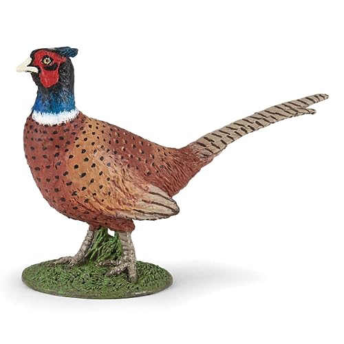 PAPO - Tierfigur - Fasan, Schönheit der Wildnis, Bunte Figur für Kinder ab 3 Jahren - Vogelbeobachtung und Naturbewusstsein von Papo