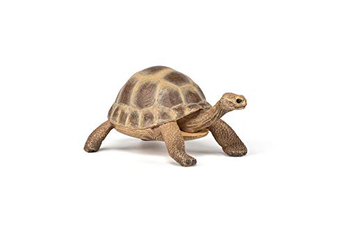 PAPO -Handbemalt - Figuren -Wildtiere Der Welt-Hermanns Schildkröte-50264-Sammelbar-Für Kinder - Geeignet für Jungen und Mädchen - Ab 3 Jahren PAPO -Handbemalt - Figuren -Wildtiere Der Welt-Hermanns Schildkröte-50264-Sammelbar-Für Kinder - Geeignet für Jungen und Mädchen - Ab 3 Jahren von Papo