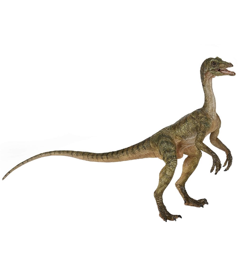 Papo Compsognathus - H: 11 cm - Papo - One Size - Dinosaurier Papo Compsognathus - H: 11 cm - Papo - One Size - Dinosaurier von Papo