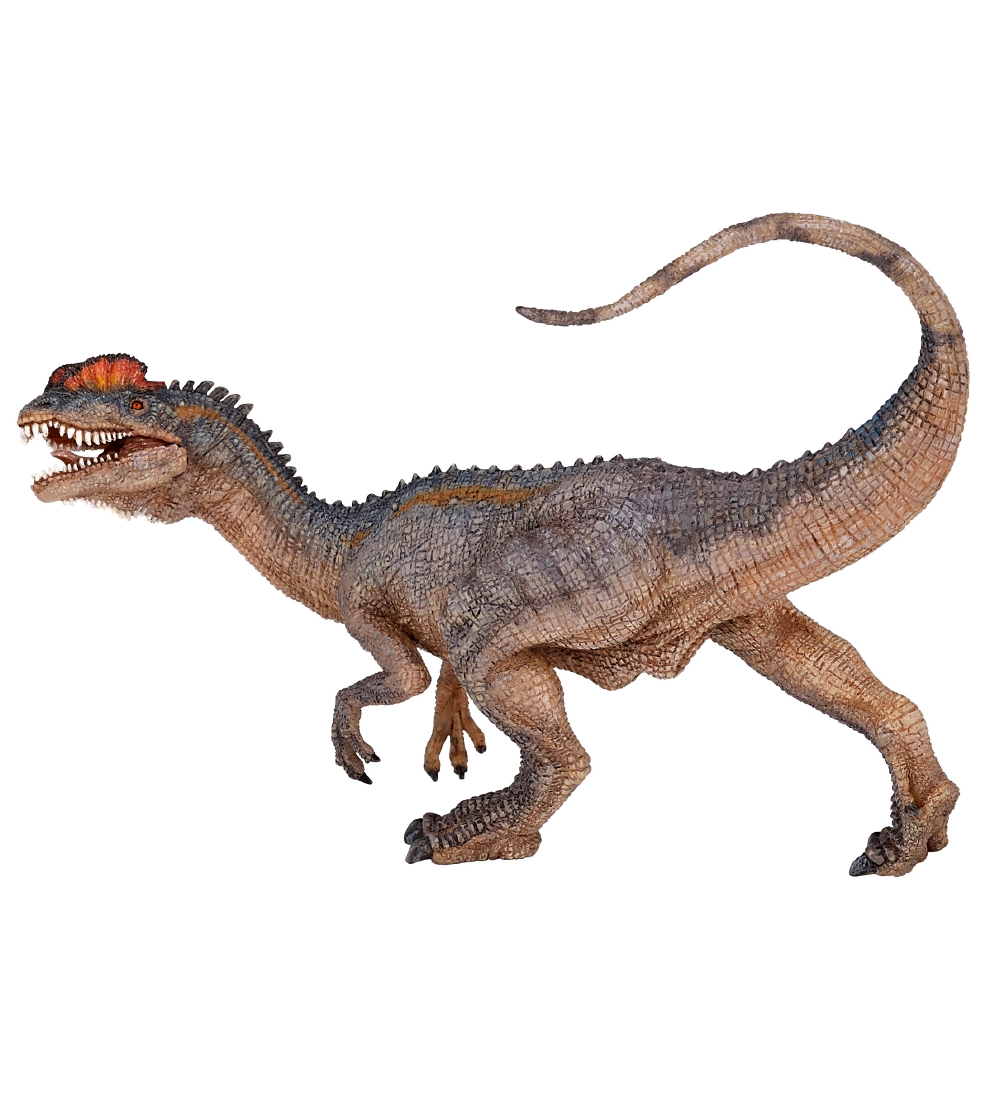 Papo Dilophosaurus - L: 14 cm - Papo - One Size - Dinosaurier Papo Dilophosaurus - L: 14 cm - Papo - One Size - Dinosaurier von Papo