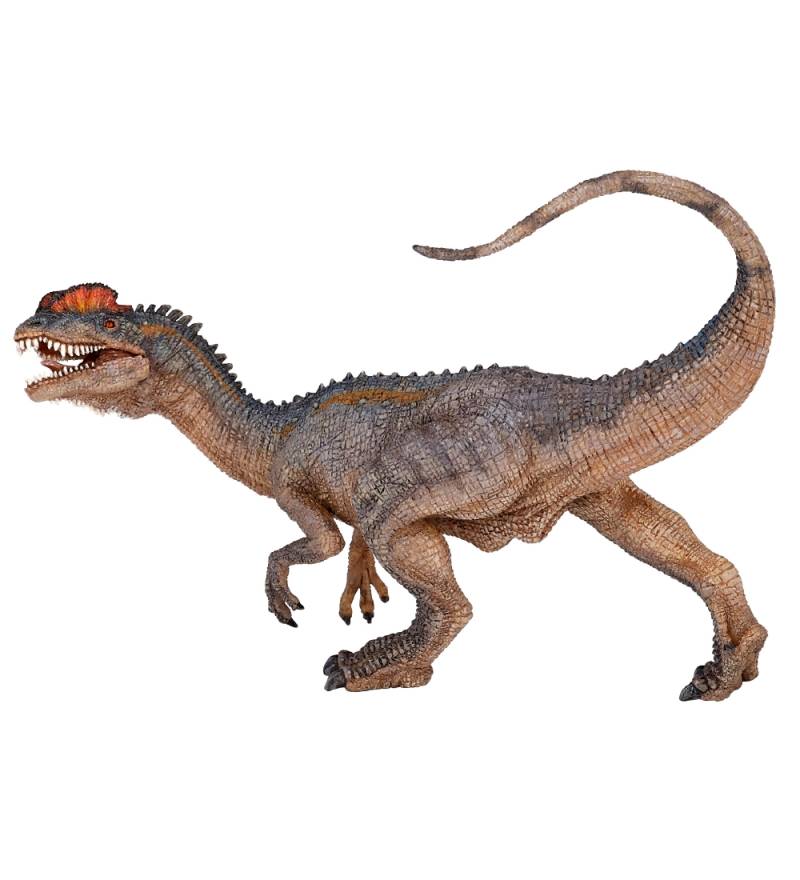 Papo Dilophosaurus - L: 14 cm - Papo - One Size - Dinosaurier Papo Dilophosaurus - L: 14 cm - Papo - One Size - Dinosaurier von Papo