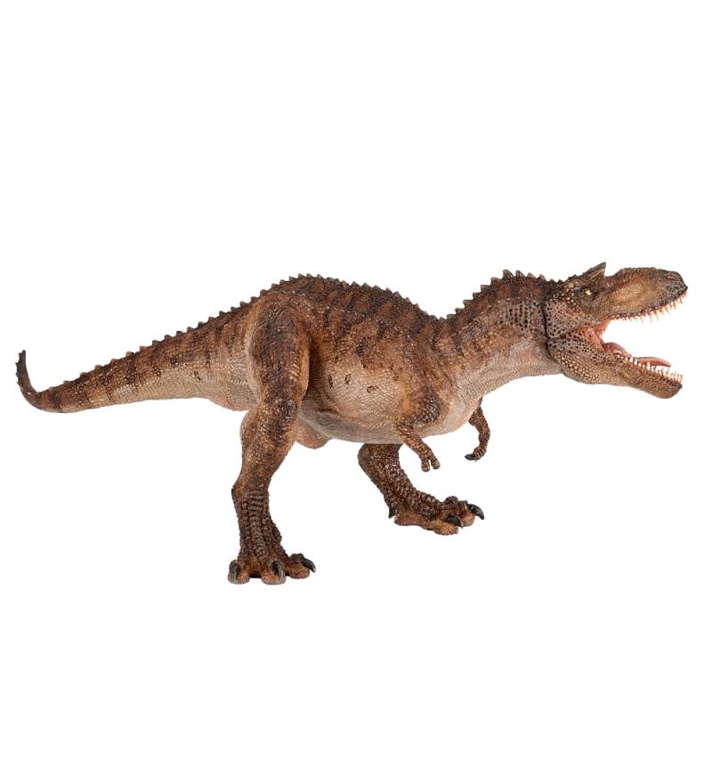 Papo Gorgosaurus - L: 18 cm - Papo - One Size - Dinosaurier Papo Gorgosaurus - L: 18 cm - Papo - One Size - Dinosaurier von Papo
