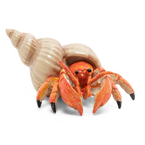 Papo - Figur Einsiedlerkrebs - Meerestier für Kinder ab 3 Jahren - Handbemalt - Meereswelt Kollektion - 6,1 x 4,4 x 2,8 cm - Kunststofffigur - 56054 Papo - Figur Einsiedlerkrebs - Meerestier für Kinder ab 3 Jahren - Handbemalt - Meereswelt Kollektion - 6,1 x 4,4 x 2,8 cm - Kunststofffigur - 56054 von Papo