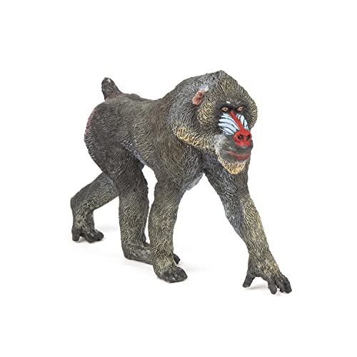 Papo -Handbemalt - Figuren -Wildtiere Der Welt-Mandrill-50121-Sammelbar-Für Kinder - Geeignet für Jungen und Mädchen - Ab 3 Jahren von Papo