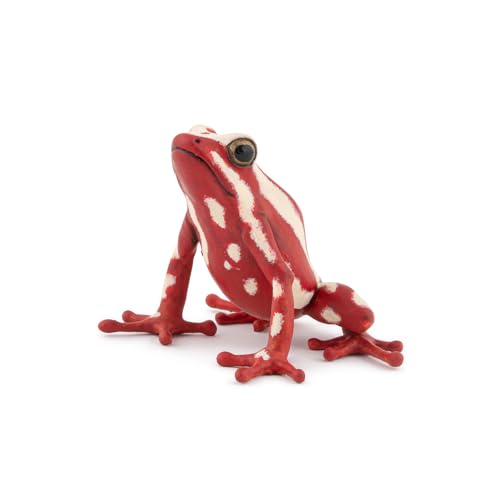 Papo - Handbemalte Figur - Dreifarbiger Pfeilgiftfrosch - Tropische Waldtiere - Sammlerstück - für Kinder - Jungen und Mädchen - ab 3 Jahren Papo - Handbemalte Figur - Dreifarbiger Pfeilgiftfrosch - Tropische Waldtiere - Sammlerstück - für Kinder - Jungen und Mädchen - ab 3 Jahren von Papo