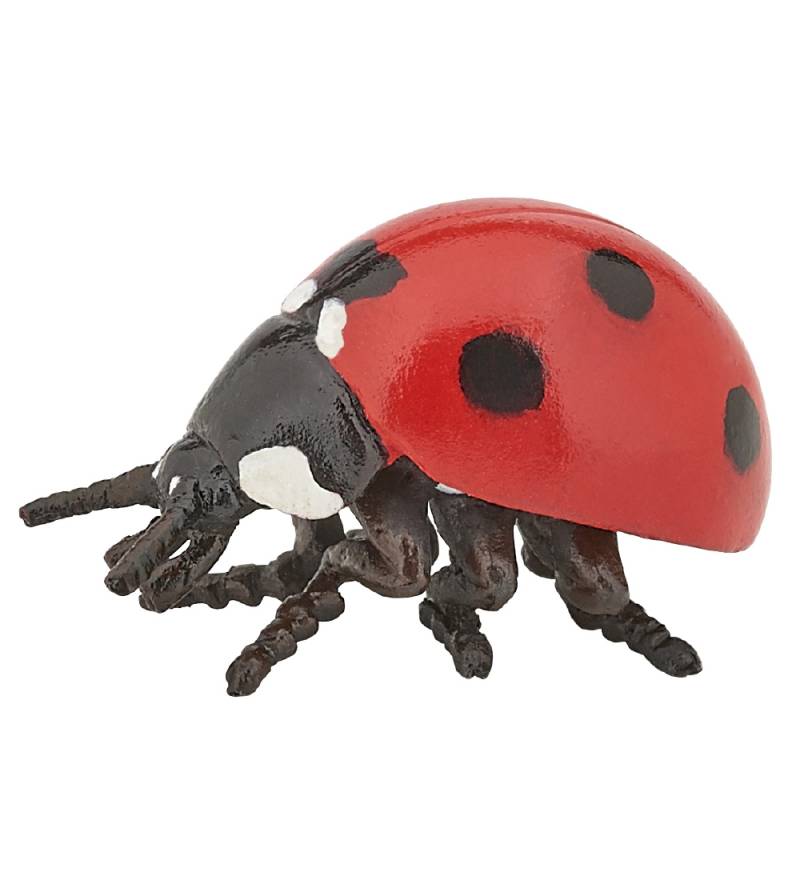 Papo Marienkäfer - H: 2 cm - Papo - One Size - Spielzeugfiguren Papo Marienkäfer - H: 2 cm - Papo - One Size - Spielzeugfiguren von Papo