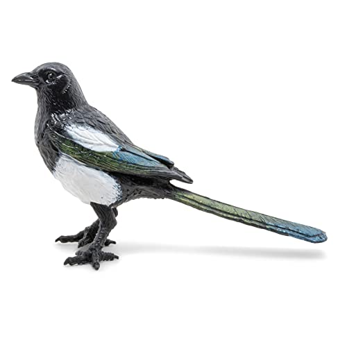 Papo - Tierfigur - Elster, Schelmischer Vogel des Landes, Kinderspielzeug ab 3 Jahren - Erforschung der geflügelten Tierwelt und Erlernen von Tierverhalten Papo - Tierfigur - Elster, Schelmischer Vogel des Landes, Kinderspielzeug ab 3 Jahren - Erforschung der geflügelten Tierwelt und Erlernen von Tierverhalten von Papo