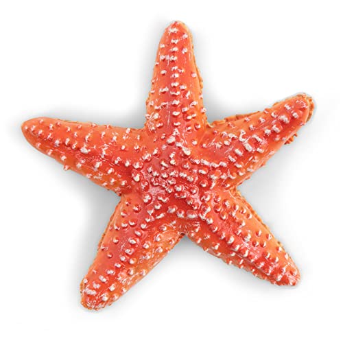 Papo- Seestern das Universum Marin Figur, 56050, Mehrfarbig Papo- Seestern das Universum Marin Figur, 56050, Mehrfarbig von Papo