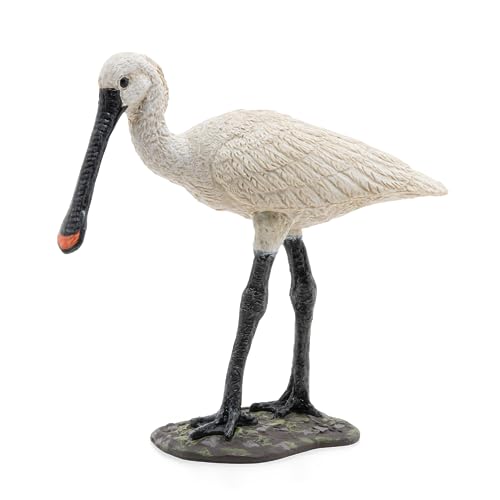 Papo -Handbemalt - Figuren -Wildtiere Der Welt-Der Loffelreiher-50279-Sammelbar-Für Kinder - Geeignet für Jungen und Mädchen - Ab 3 Jahren Papo -Handbemalt - Figuren -Wildtiere Der Welt-Der Loffelreiher-50279-Sammelbar-Für Kinder - Geeignet für Jungen und Mädchen - Ab 3 Jahren von Papo