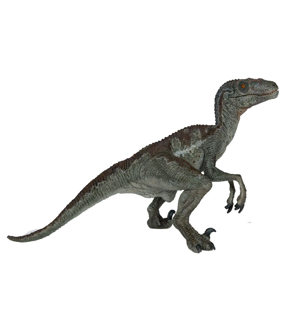 Papo Velociraptor - H: 10, 5 cm - Papo - One Size - Dinosaurier Papo Velociraptor - H: 10, 5 cm - Papo - One Size - Dinosaurier von Papo