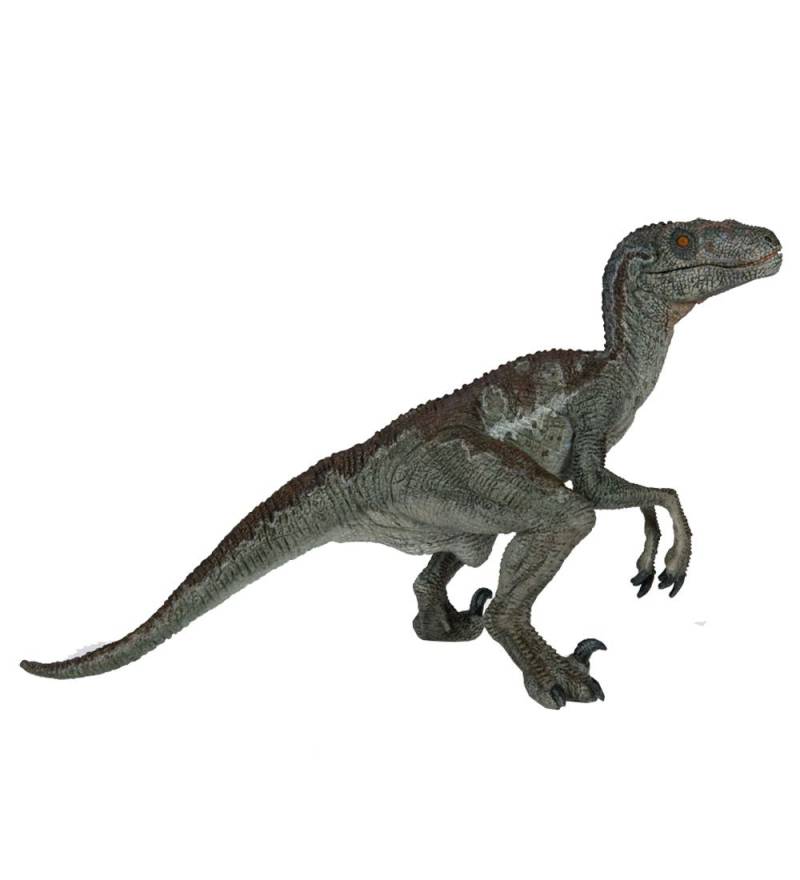 Papo Velociraptor - H: 10, 5 cm - Papo - One Size - Dinosaurier Papo Velociraptor - H: 10, 5 cm - Papo - One Size - Dinosaurier von Papo