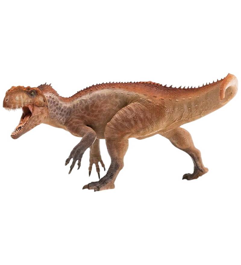 Papo Yangchuanosaurus - 11 cm - Papo - One Size - Dinosaurier Papo Yangchuanosaurus - 11 cm - Papo - One Size - Dinosaurier von Papo