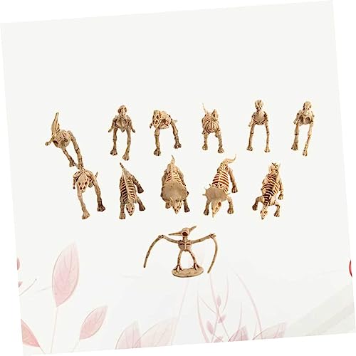 Parliky 12 Stück Teiliges Mini Dinosaurier Modell aus Robustem Realistische Dinosaurier Skelett Figuren für Sammler Pädagogisches und Dekorative Ornamente für Zuhause Büro Party und Bar von Parliky