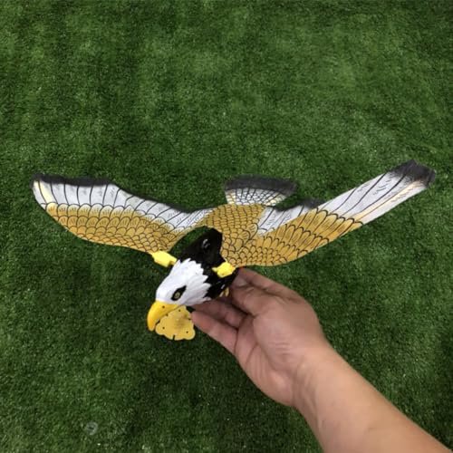 Parliky 2 Stück Elektronisches Vogelspielzeug mit Musikfunktion Niedliche Fliegende Adlerform für Sichere Kunststoffkonstruktion Fördert Motorische Fähigkeiten und Eltern Junge Parliky 2 Stück Elektronisches Vogelspielzeug mit Musikfunktion Niedliche Fliegende Adlerform für Sichere Kunststoffkonstruktion Fördert Motorische Fähigkeiten und Eltern Junge von Parliky