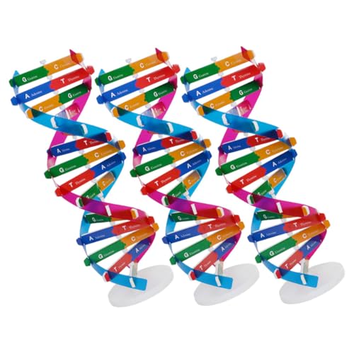 Parliky 3 Stück Teiliges DIY DNA Modellset Doppelhelix Lernspielzeug für Schüler Wissenschaftliches Bildungsinstrument zur Veranschaulichung der DNA Struktur Parliky 3 Stück Teiliges DIY DNA Modellset Doppelhelix Lernspielzeug für Schüler Wissenschaftliches Bildungsinstrument zur Veranschaulichung der DNA Struktur von Parliky