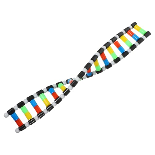Parliky DNA Modell Kit Doppelhelix Bausatz aus Kunststoff Interaktives Biologie Lehrmittel für Schüler Leicht Montierbar Sicheres Molekulares Strukturmodell für Naturwissenschaftlichen Parliky DNA Modell Kit Doppelhelix Bausatz aus Kunststoff Interaktives Biologie Lehrmittel für Schüler Leicht Montierbar Sicheres Molekulares Strukturmodell für Naturwissenschaftlichen von Parliky