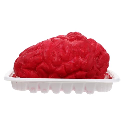 Parliky Halloween Deko Simuliertes Körperorgan Modell Realistische Gehirn und Herz Requisite aus Kunststoff Leicht Robust Partydekoration für Halloween und Gruselige Anlässe Parliky Halloween Deko Simuliertes Körperorgan Modell Realistische Gehirn und Herz Requisite aus Kunststoff Leicht Robust Partydekoration für Halloween und Gruselige Anlässe von Parliky