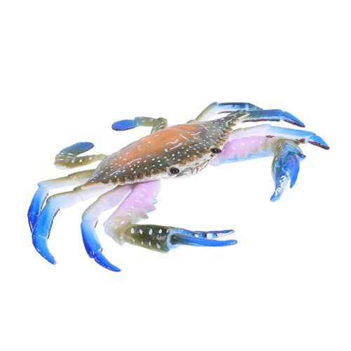 Parliky Realistische Blaue Krabbenfigur aus Robustem Kunststoff Kindgerechtes Lernspielzeug Detailgetreues Meereslebewesen Dekoratives Desktop Accessoire für Zimmer und Garten Parliky Realistische Blaue Krabbenfigur aus Robustem Kunststoff Kindgerechtes Lernspielzeug Detailgetreues Meereslebewesen Dekoratives Desktop Accessoire für Zimmer und Garten von Parliky