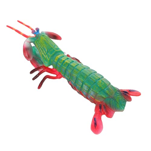 Parliky Realistisches Mantis Shrimp Modell Lifelike Meerestier Figur Tier Nachbildung Pädagogisches Lernspielzeug zur Kognitiven Entwicklung und Aquarium Dekoration von Parliky