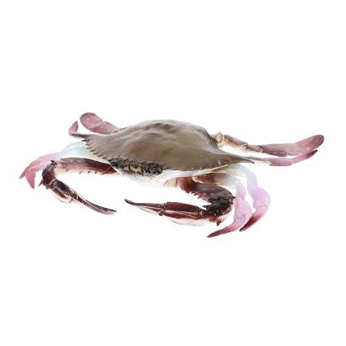 Parliky Realistisches Modell aus Pädagogisches Meeres tierfiguren Leichtes Aquarium deko Geeignet für Lernspiele und Party Dekoration von Parliky