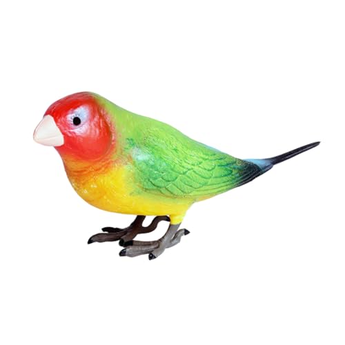 Parliky Realistisches Papagei Modellspielzeug aus Kunststoff Langlebige Tierdekoration für Pädagogisches Desktop-Ornament Lernspielzeug für Zuhause und Garten Sicheres Kunstvogel Modell Parliky Realistisches Papagei Modellspielzeug aus Kunststoff Langlebige Tierdekoration für Pädagogisches Desktop-Ornament Lernspielzeug für Zuhause und Garten Sicheres Kunstvogel Modell von Parliky