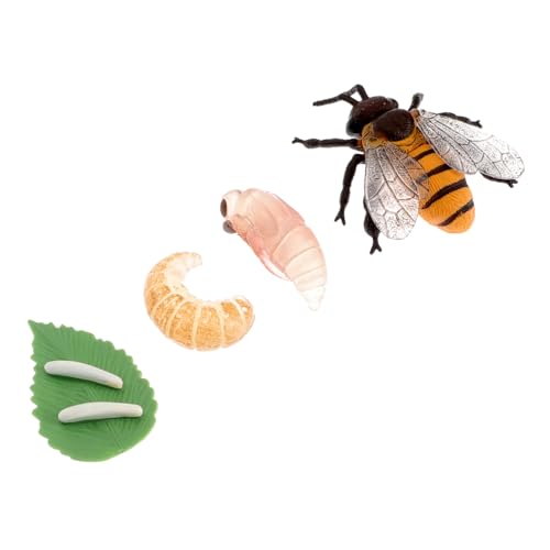 Parliky Simulationsspielzeug Bienenwachstumszyklus aus Kunststoff Pädagogisches Insektenmodell für Realistisches Evolution Display zur Naturkunde Geschenk für Vorschulkinder und Parliky Simulationsspielzeug Bienenwachstumszyklus aus Kunststoff Pädagogisches Insektenmodell für Realistisches Evolution Display zur Naturkunde Geschenk für Vorschulkinder und von Parliky