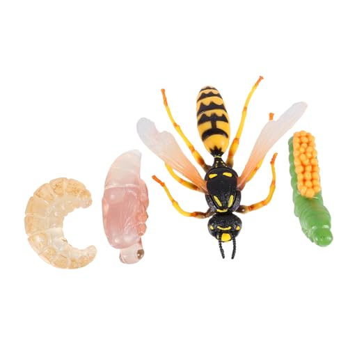 Parliky Teiliges Wespennachwuchs Modell Kindgerechtes Lernspielzeug Realistische Insektenfiguren zur Kognitiven und Naturerfahrung für Ab Jahren von Parliky