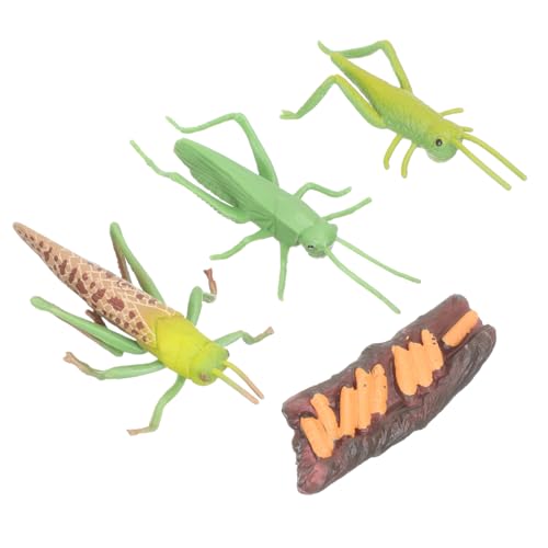 Parliky Tierfiguren Lebenszyklus Modell Montessori Pädagogisches für Frühe Bildung Insekten Simulation Lernspielzeug für Vorschule und Naturwissenschaftlichen Unterricht von Parliky