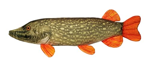 Angelkissen Hecht 60 cm Pieter Pike Plüsch Fisch Kissen Candy Kuscheltier Kuscheltier Candy Farben Kopfkissen von Parry's Premium Products