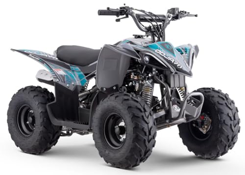 Mikilon Kinder & Jugenquad Predator Odjar110cc TOP QUALITÄT von Parts Europe