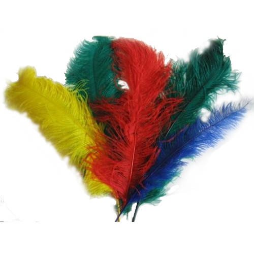 Party Discount ® Straußenfeder, 50-60cm, weiß PREISHIT von Party Discount