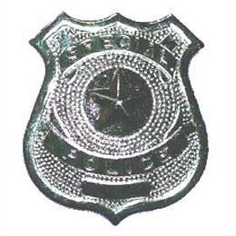 Party Discount FBI-Abzeichen zum Anstecken, Silber Party Discount FBI-Abzeichen zum Anstecken, Silber von Party Discount