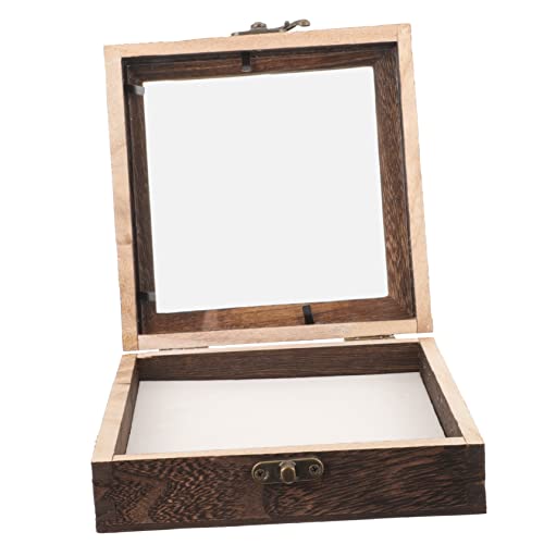 PartyKindom 1 Satz Insektenprobenbehälter Aus Glas Entomologie Fänger Catcher-kit Schläger Exemplare Modell Vitrine Hamster Fliegend Bausatz Geisterspinne Miniatur Anlage Schaum von PartyKindom