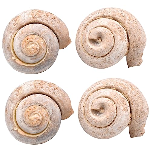 PartyKindom 1 Satz Schneckenfossil Tiere Dinosaurier Wissenschaft Aufkleber Lebewesen Fossilien Museum Schneckengel Tischdeko Esstisch Hausdeko Schneckenprobe Dekoration Modell 4 Stück von PartyKindom