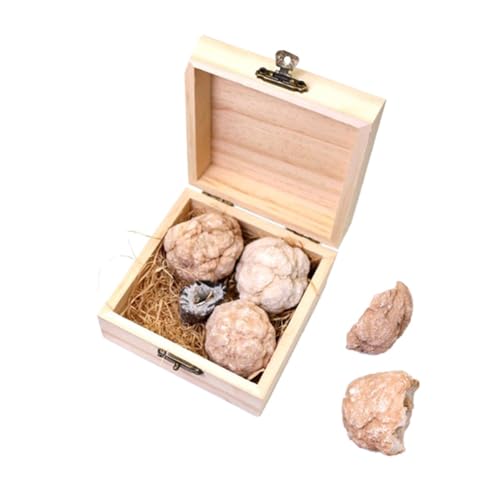 PartyKindom 1 Schachtel Höhlencluster-Kristallkugel Stem-Wissenschafts-Kit Geode Steinbecher gem dig kit gemstone dig kit Edelsteinabbau graben Edelstein-Grabset für Kristallachaterz von PartyKindom