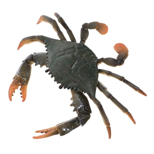 PartyKindom 1 Stück Krabbenmodell kinderspielzeug für Tierfigur spielkrabbe crabtoy Tiermodelle Plastikmodell Erkenntnismodelle pädagogisches von PartyKindom