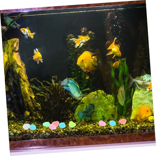 PartyKindom 100 Stück Teiliges Leuchtende Kieselsteine aus Resin Fluoreszierende Dekosteine für Aquarium Garten Teich Wasserspiele Sicher für Süßwasser Gemischt Langlebig und Vielseitig von PartyKindom