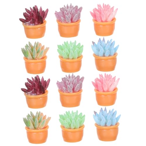 PartyKindom 12 Stück Teiliges Miniatur Sukkulenten mit Farben Realistische Kleine Bonsai Pflanzen für Puppenhaus DIY Mini Garten Dekoration Leicht und Pflegefrei für Innenräume und Mini von PartyKindom