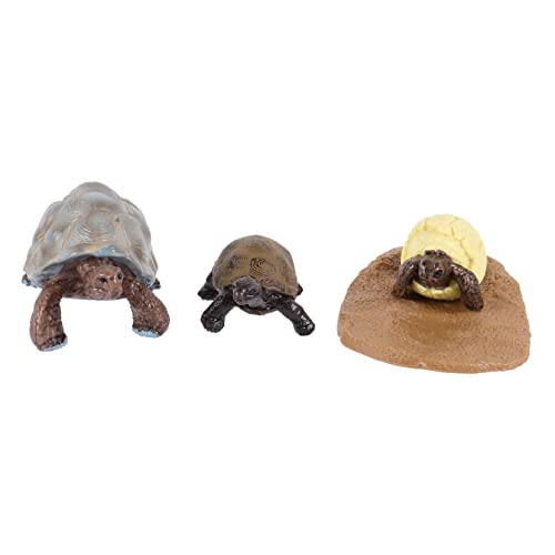 PartyKindom 1Satz Teiliges Schildkröten Lebenszyklus Modell Kreatives Kognitives Denkfähigkeiten für Geschenkideen und Lernzwecke von PartyKindom