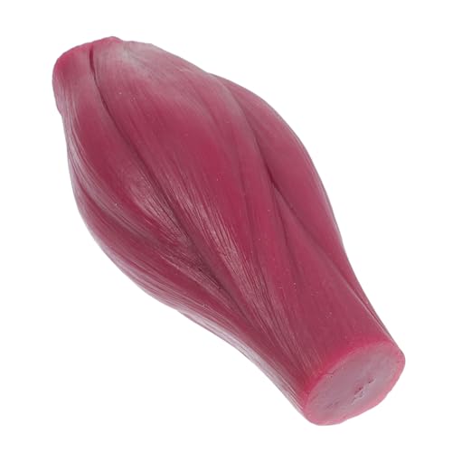 PartyKindom Hochwertiges 1lb Muskelmodell Menschlicher Körpermuskel Für Bildungszwecke von PartyKindom