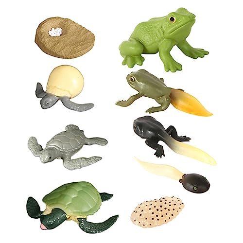 PartyKindom 2 Sätze Simulation Frogs and Turtles Evolution Models Pädagogisches Tierwachstums für Realistische Tierfiguren für Kreative Lernspiele Geschenkidee für Junge Mädchen von PartyKindom