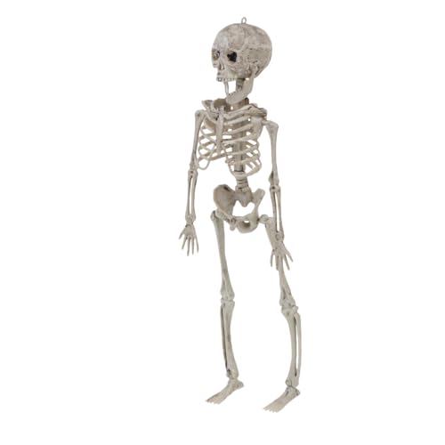 PartyKindom 2 Stk Simuliertes Skelett Skelett Simulation Des Menschlichen Körpers Halloween-partyzubehör Schreckliches Körpergerippe Hängendes Halloween-skelett Skelette Wolf Beige Plastik von PartyKindom
