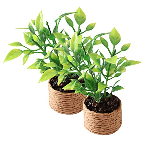 PartyKindom 2 Stück Miniatur Orangenbaum Künstliche Mini Pflanzen für Puppenhaus Dekoration Realistische Pflegeleichte Blumen Leichte Mini Pflanzen für Spielzeughäuser und Foto Requisiten PartyKindom 2 Stück Miniatur Orangenbaum Künstliche Mini Pflanzen für Puppenhaus Dekoration Realistische Pflegeleichte Blumen Leichte Mini Pflanzen für Spielzeughäuser und Foto Requisiten von PartyKindom