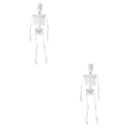 PartyKindom 2St Modell des menschlichen Körpers für Kinder menschliches Skelett Anatomiemodell Modelle Statue des menschlichen Skeletts Anatomisches Studienmodell abnehmbar Schulmaterial von PartyKindom