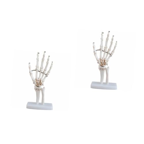 PartyKindom 2St handgelenk modell Organ Bausatz Kabine Arm Hand joint model Hand skeleton model werkzeug Modell der Handskelett-Gelenkgelenke wissenschaftliches Lehrmittel PVC Weiß PartyKindom 2St handgelenk modell Organ Bausatz Kabine Arm Hand joint model Hand skeleton model werkzeug Modell der Handskelett-Gelenkgelenke wissenschaftliches Lehrmittel PVC Weiß von PartyKindom