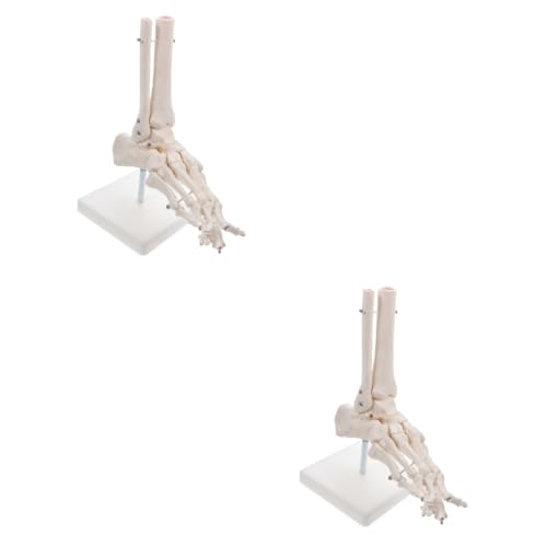 PartyKindom 2st Modell Des Fußgelenks Menschliche Anatomie Anatomisch Falsche Füße Skelette Sprunggelenkmodell Aus Kunststoff Menschliches Skelettmodell Fußknochenmodell Weiß Pvc PartyKindom 2st Modell Des Fußgelenks Menschliche Anatomie Anatomisch Falsche Füße Skelette Sprunggelenkmodell Aus Kunststoff Menschliches Skelettmodell Fußknochenmodell Weiß Pvc von PartyKindom