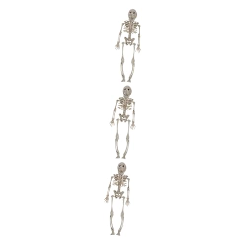 PartyKindom 3 Stück Einzigartiges Gruseliges Skelett-requisit Halloween Menschliches Körpermodell Halloween Dekoratives Modell Gruseliges Halloween- -szenen-ornament von PartyKindom