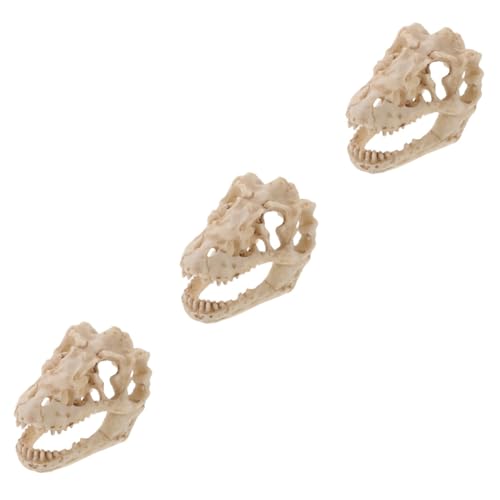 PartyKindom 3 Stück Harz Reptil Dinosaurier Schädel Modell Web Halloween Schädel Dekoration Gefälschte Schädel Ornament Miniaturen Maske Käfig Modell Anatomie Dinosaurier Schlafzimmer Zubehör PartyKindom 3 Stück Harz Reptil Dinosaurier Schädel Modell Web Halloween Schädel Dekoration Gefälschte Schädel Ornament Miniaturen Maske Käfig Modell Anatomie Dinosaurier Schlafzimmer Zubehör von PartyKindom