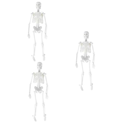 PartyKindom 3St Modell des menschlichen Körpers Anatomiemodell Skelett in voller Größe Modelle menschliches Skelettmodell Anatomisches Studienmodell abnehmbar Ausrüstung von PartyKindom