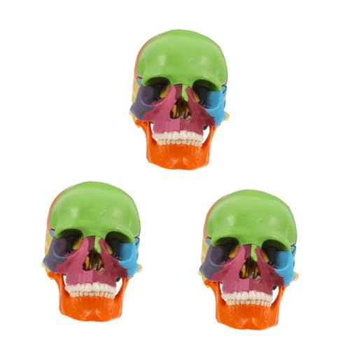PartyKindom 3st Schädelmodell Skulptur Modell Komponentenmodell Sehen Digitale Waage Im Labormaßstab Tragbare Schutzbrillen Prop-modell Kariertes Sammelalbum Abnehmbares Modell Plastik PartyKindom 3st Schädelmodell Skulptur Modell Komponentenmodell Sehen Digitale Waage Im Labormaßstab Tragbare Schutzbrillen Prop-modell Kariertes Sammelalbum Abnehmbares Modell Plastik von PartyKindom